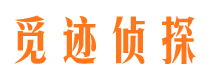 龙子湖调查公司